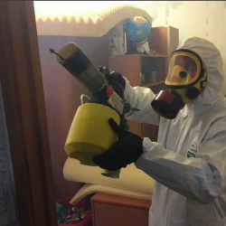 Уничтожение клопов в квартире. Северное Тушино 